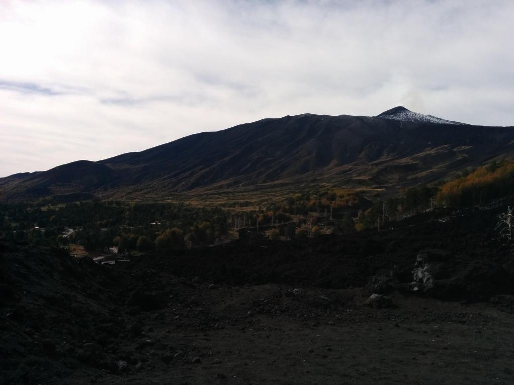 IMG_20151025_100208.jpg